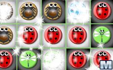 Bug Match 2