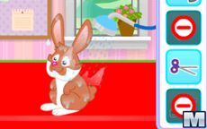 Pet Care - Cuidar a mascotas