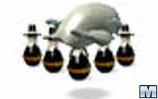 Turkey Bowling