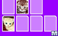 Meowmory