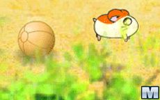 Run Hamster, Run