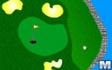 Flash Golf 2001
