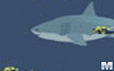 Mad Shark
