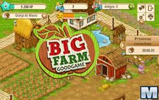 Big Farm