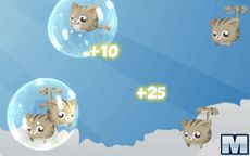 Kitten Can Fly