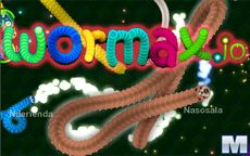 Wormax.io