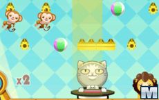 Catchy Bouncy Carnival