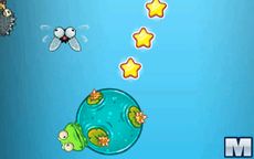 Froggee