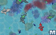 Sharkz.io