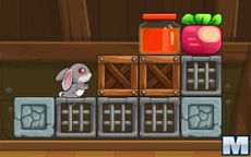 Who Moved My Radish