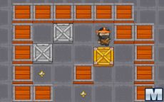 Ninja Treasure