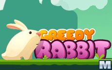 Greedy Rabbit