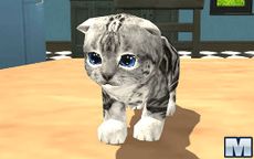 Cat Simulator