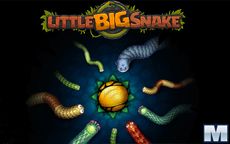 Little Big Snake