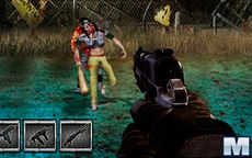 Zombies Night
