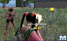 Fortnite Online: China