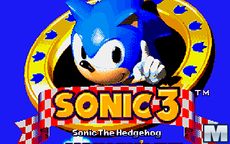 Sonic 3 & Knuckles: The Challenges