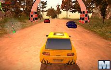 Dirt Rally Driver