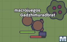 Moomoo.io