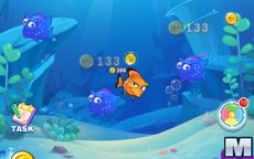 Idle Fish