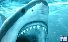 Hungry Shark