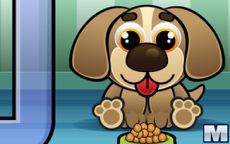 Feed MyPetDog