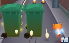 Cat Run