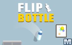Flip Bottle 3D