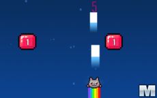 Kitten Force