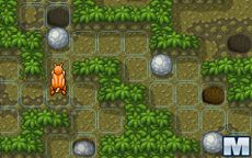 Jungle Beats
