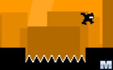 Nuclear Ninja