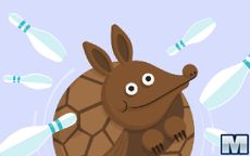 TurtleRat Alley