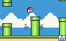 Bird Quest: Adventure Flappy