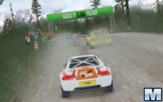 Rally Car Hero