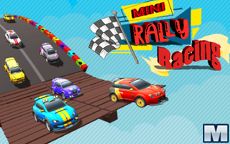 Mini Rally Racing