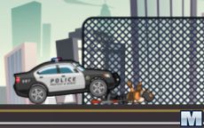 City Police Cars