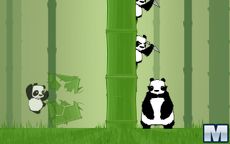 Kongfu Panda