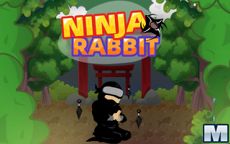 Ninja Rabbit