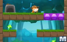 Fox Adventurer