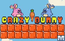 Crazy Bunny