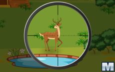 Deer Hunter 2D