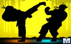 Shadow Fights