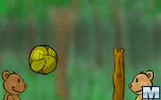 Teddy Ball