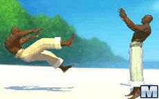 Capoeira Fighter 2