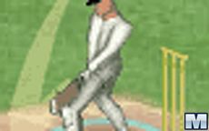 Just Not Cricket