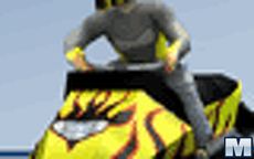 Skidoo Tt