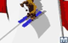 Slalom
