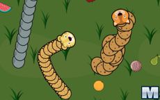 Forest Slither Snake