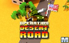 Operation Desert Road