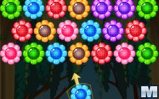 Flowers Shooter